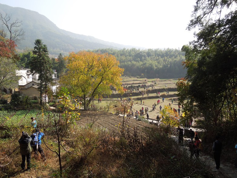 塔川秋色.jpg