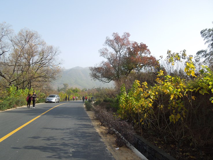 通往塔川.jpg