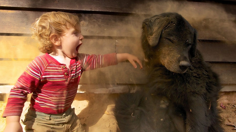 国家地理》2013年影赛入选作品 23.jpg