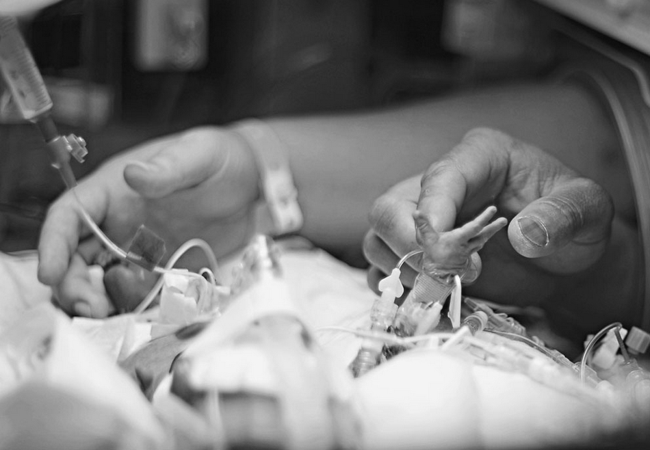 国家地理》2013年影赛入选作品 11.jpg