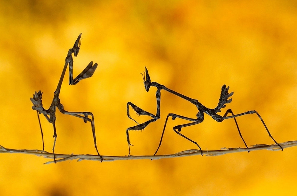 国家地理》2013年影赛入选作品 21.jpg