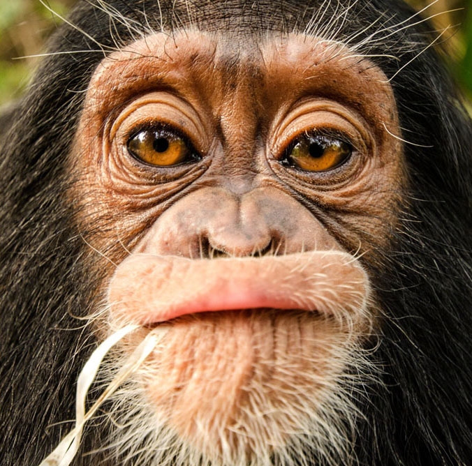 国家地理》2013年影赛入选作品 22.jpg