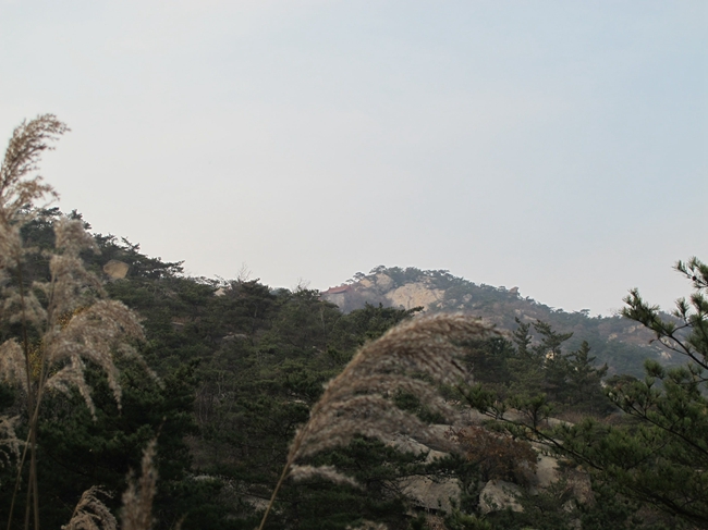 IMG_4968_看图王.jpg