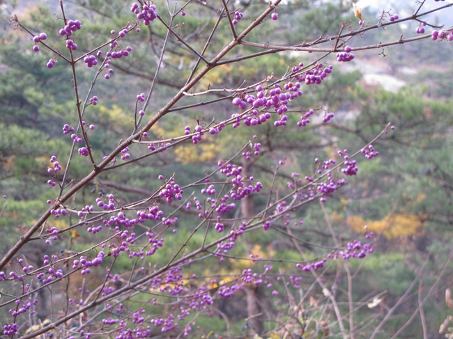 IMG_4971_看图王.jpg