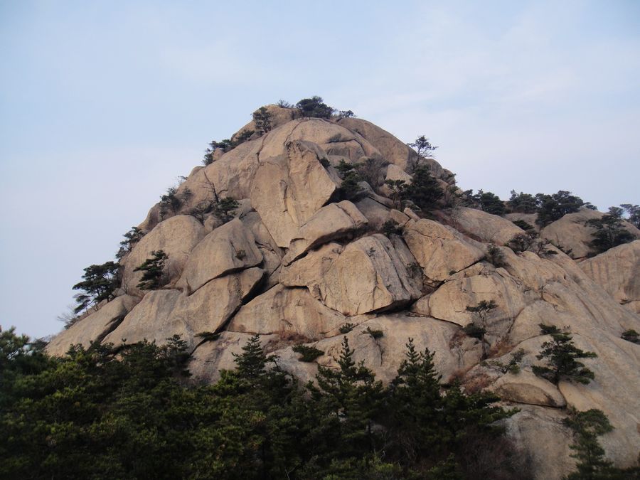 DSC03764.jpg