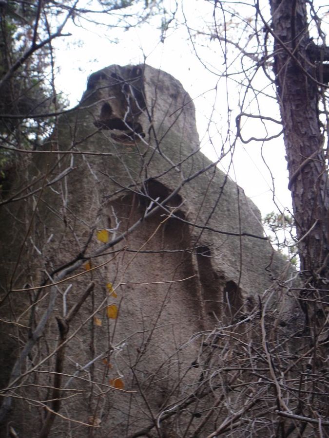 DSC03768.jpg