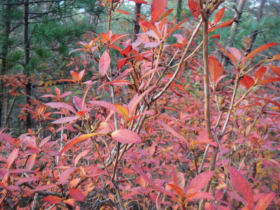 DSC03774.jpg