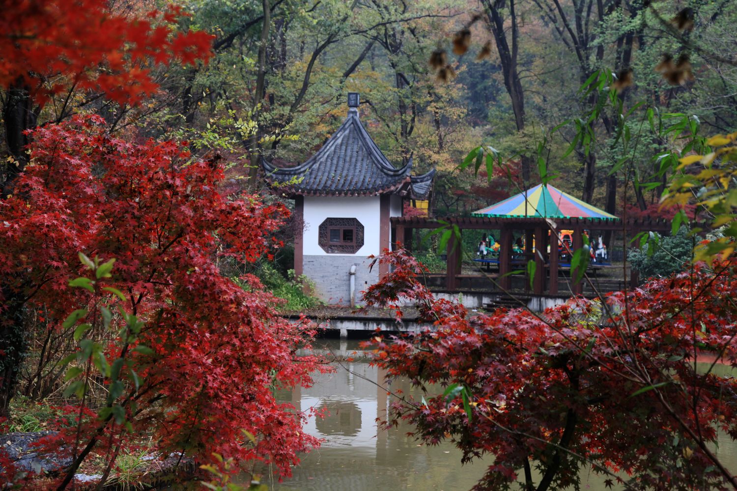 苏州，南京 459.jpg