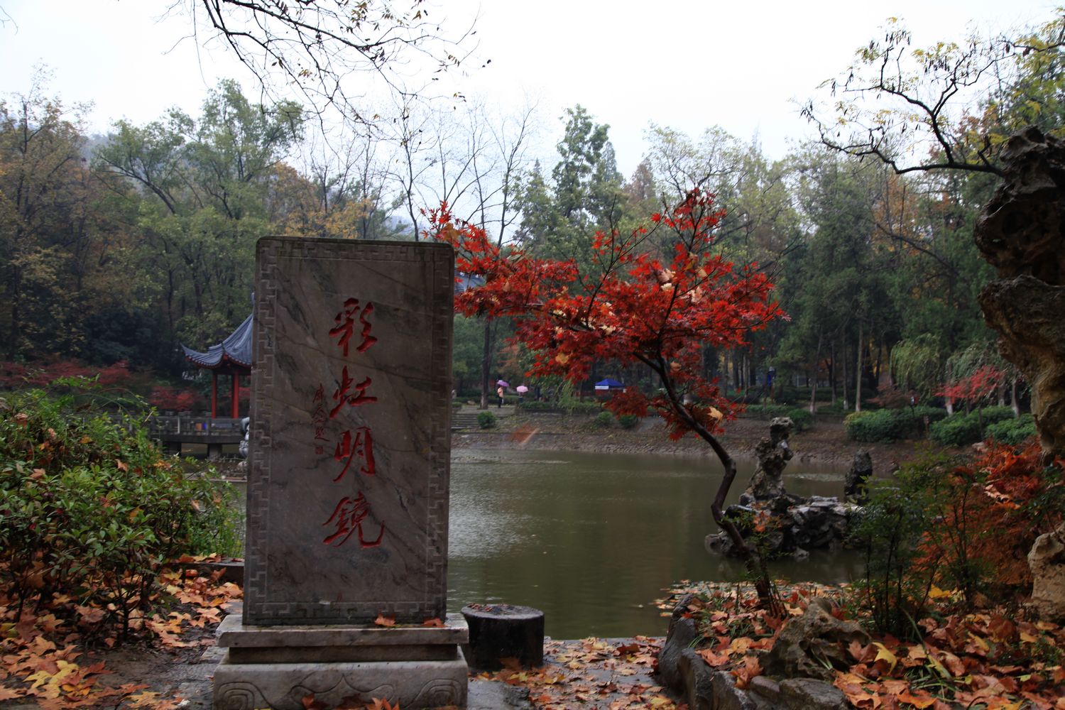 苏州，南京 396.jpg