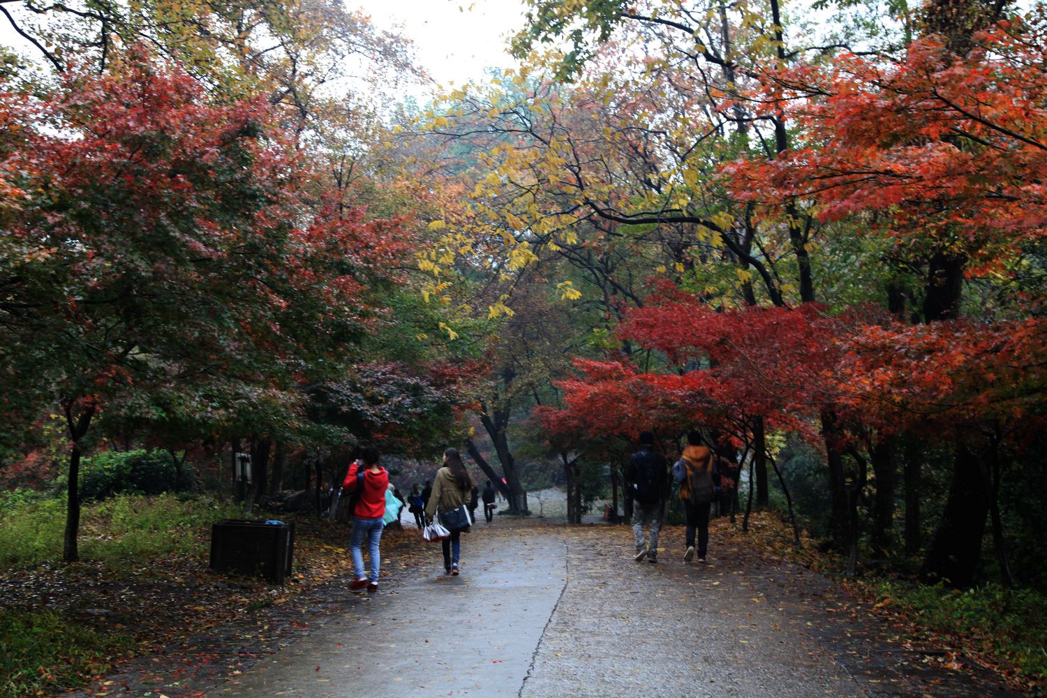 苏州，南京 441.jpg