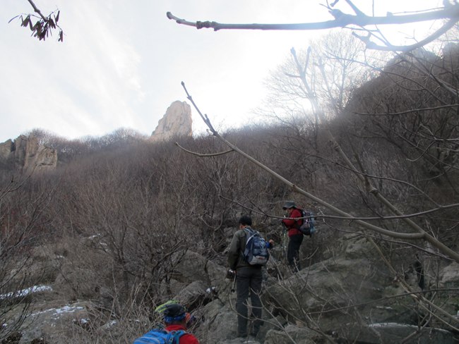 IMG_5110_副本.jpg