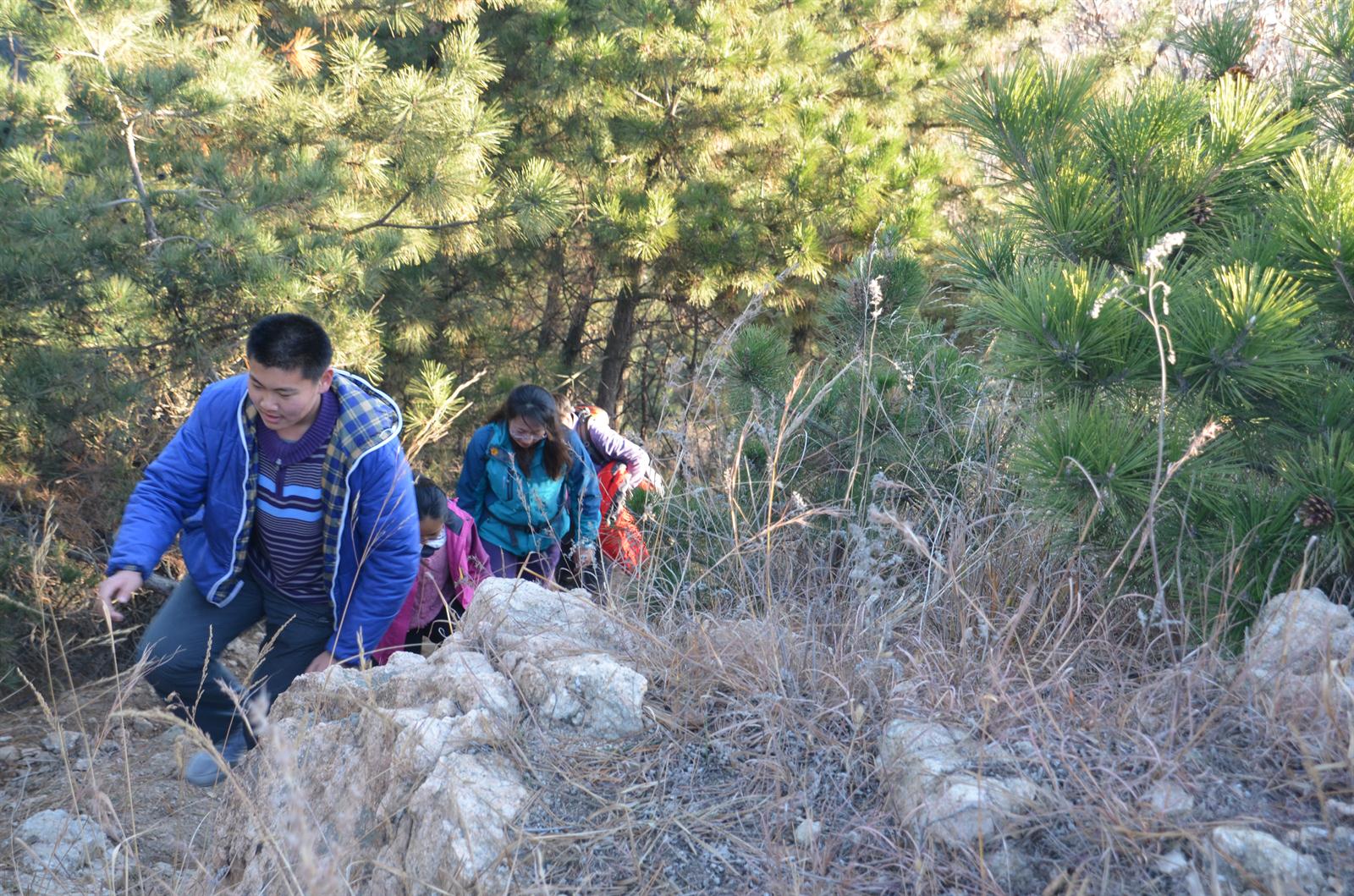 DSC_1547.jpg