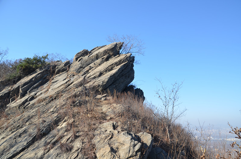 DSC_1642_副本.jpg