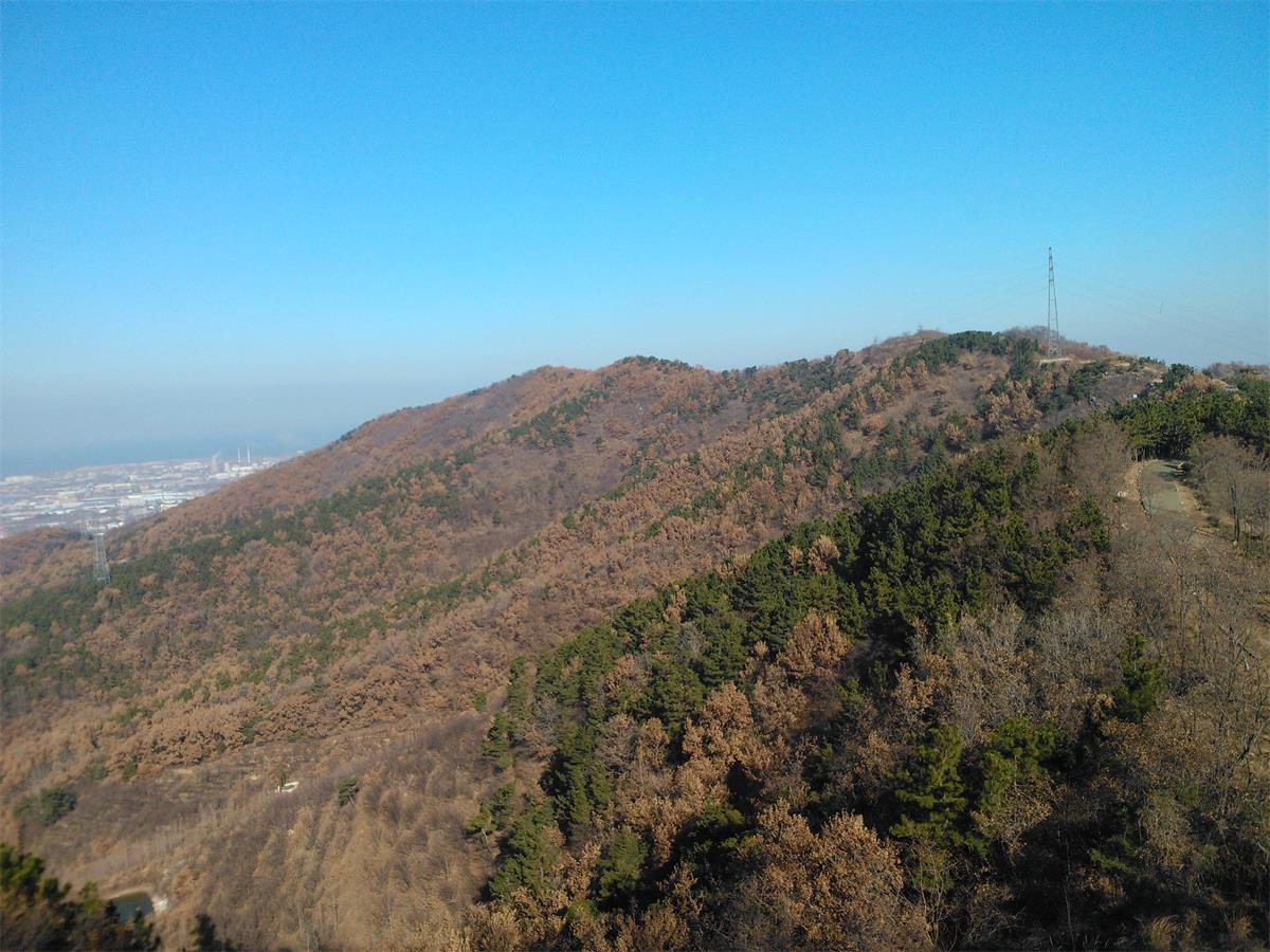 IMG20131201102358.jpg