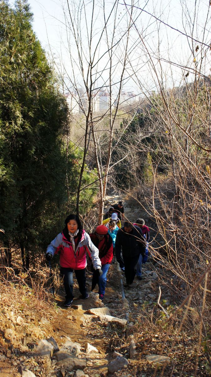 DSC08654.JPG