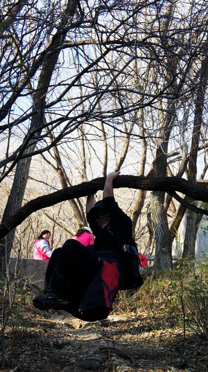 DSC08671.JPG