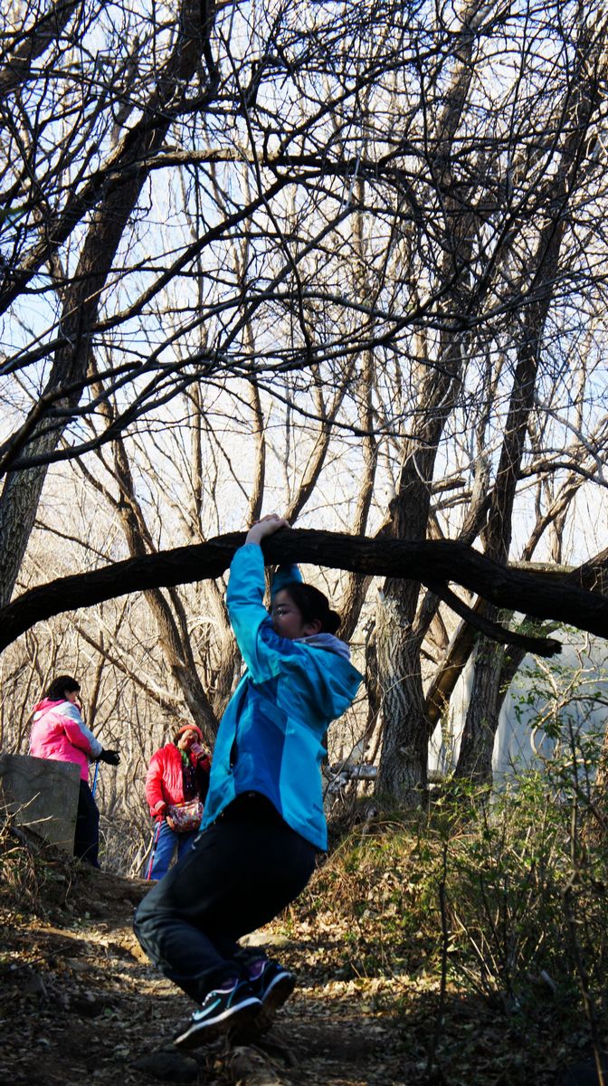 DSC08669.JPG