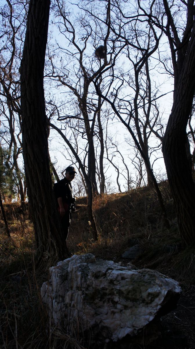 DSC08691.JPG