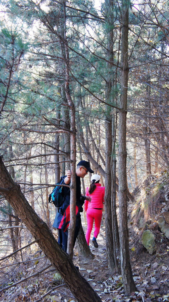 DSC08695.JPG