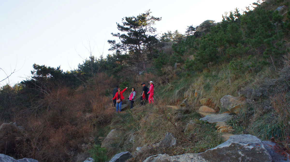 DSC08702.JPG