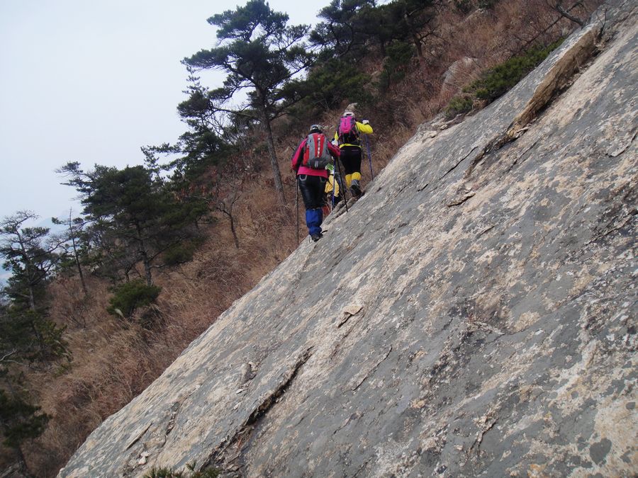 DSC04041.jpg