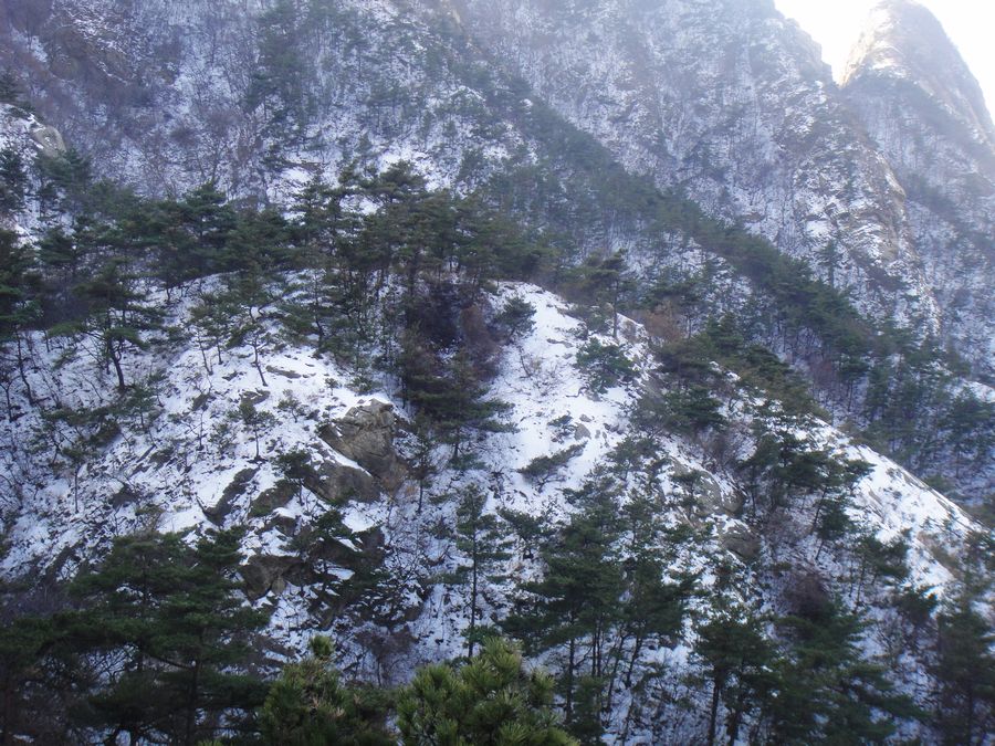 DSC04124.jpg