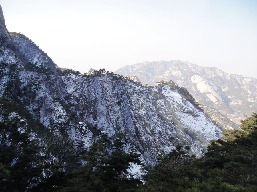 DSC04123.jpg
