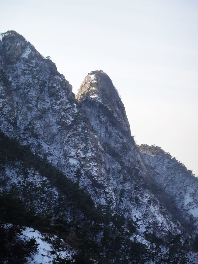 DSC04136.jpg