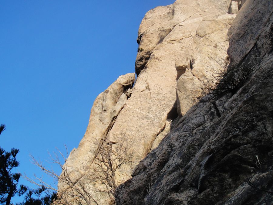 DSC04137.jpg