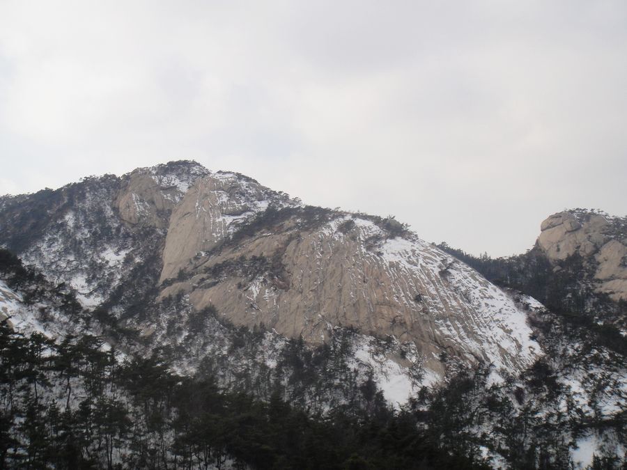 DSC04202.jpg