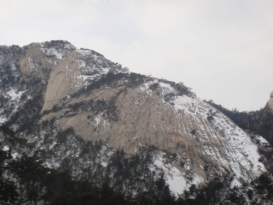 DSC04201.jpg