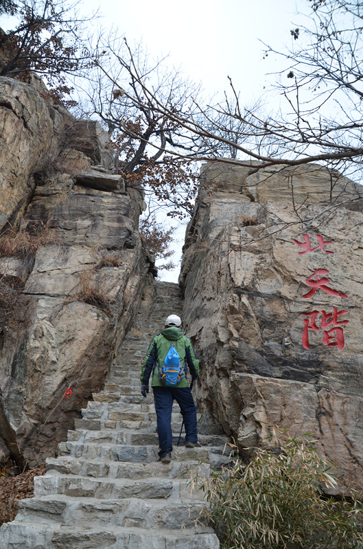 DSC_3799_副本.jpg