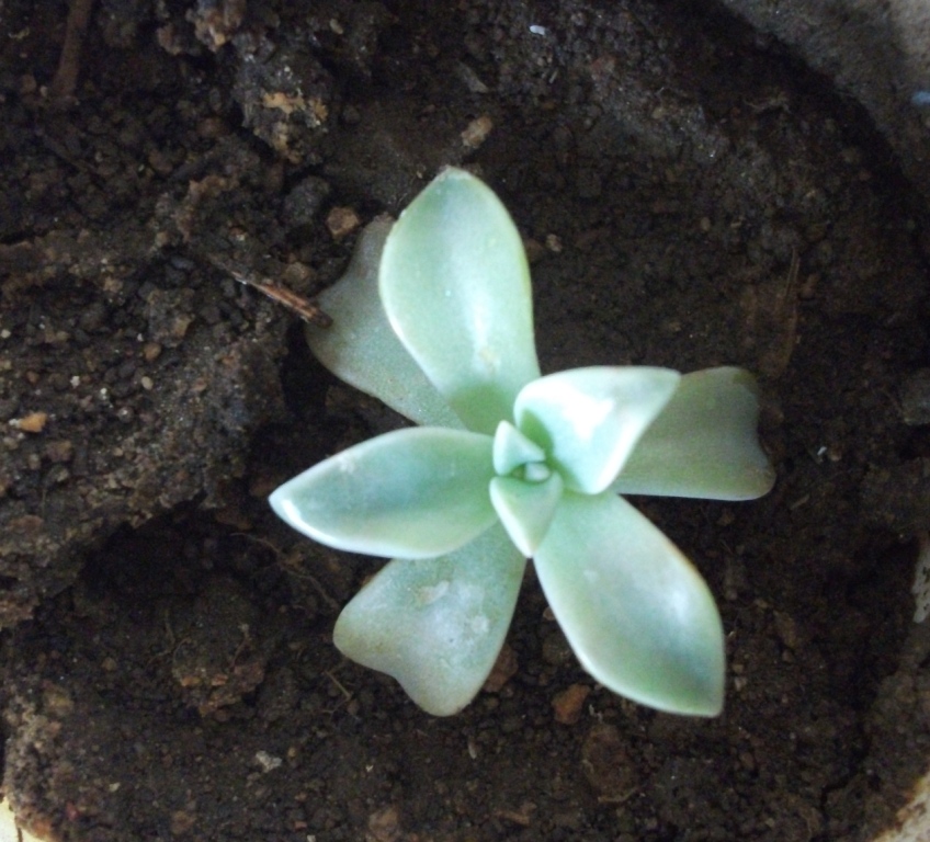 DSCF4605.JPG