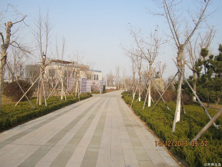 IMG_2845.JPG