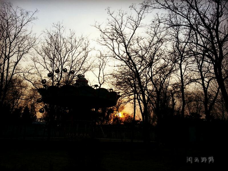 rps20131221_230427_472.jpg