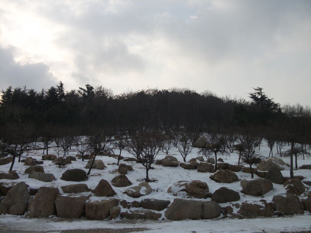 DSCF4612.JPG