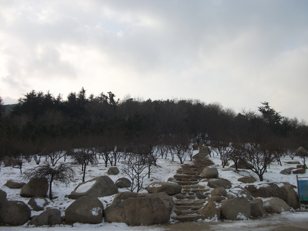 DSCF4613.JPG
