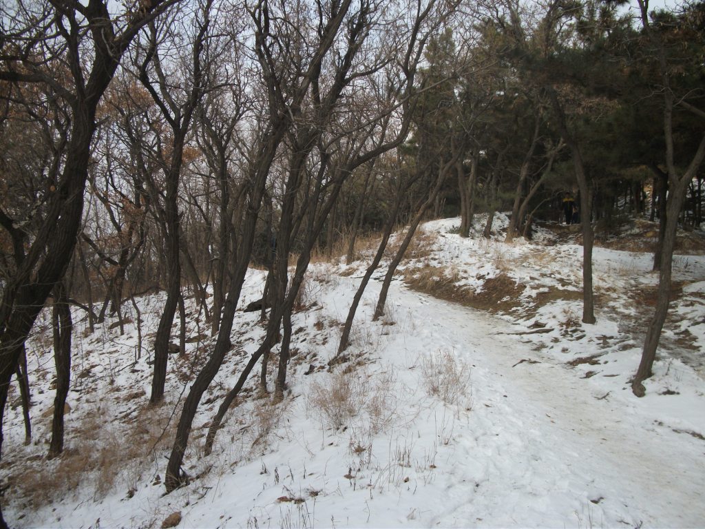 DSCF4615.JPG