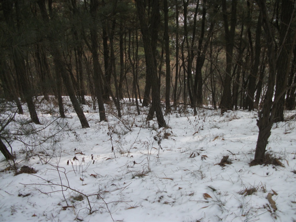 DSCF4619.JPG