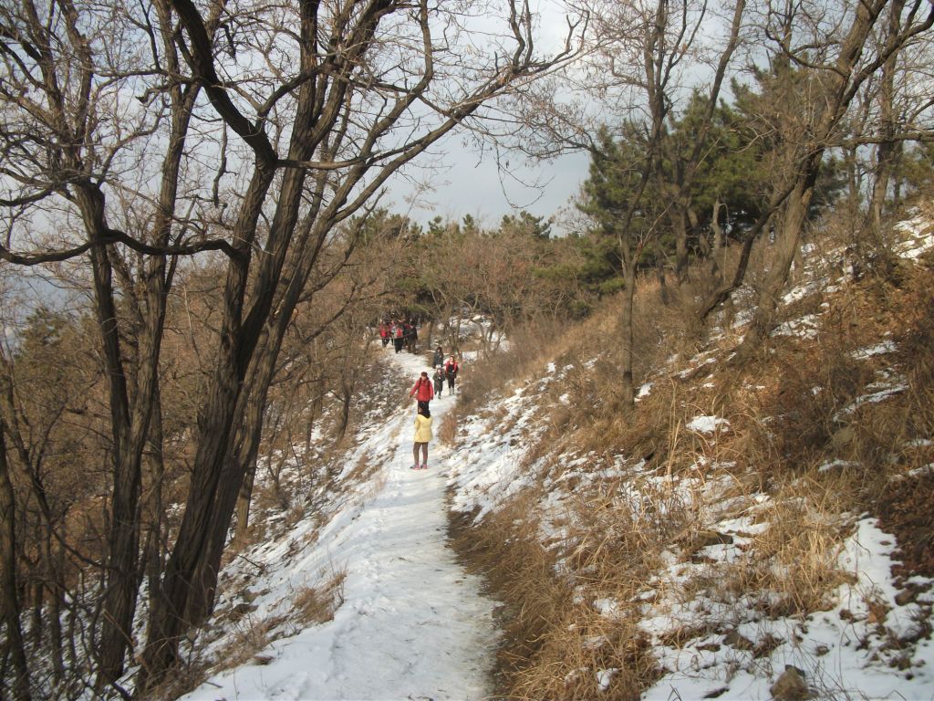 DSCF4617.JPG