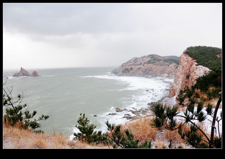 dsc_0139_conew1.jpg