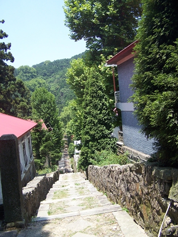 100_9253.jpg