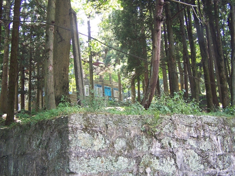 100_9255.jpg