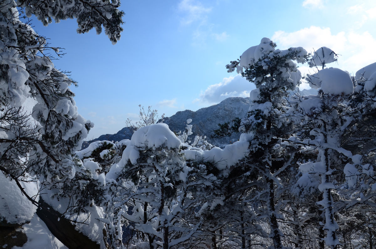 DSC_5960.jpg