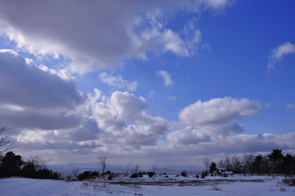 _DSC0179.jpg