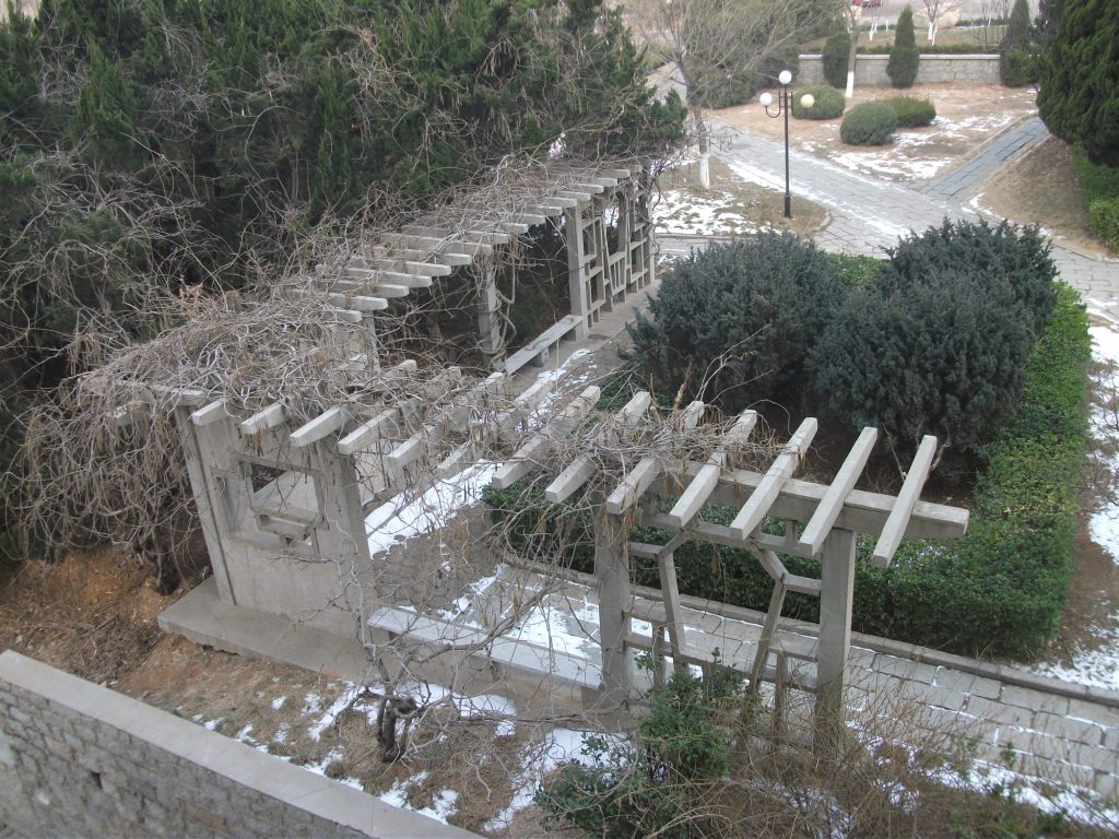 DSCF4623.JPG