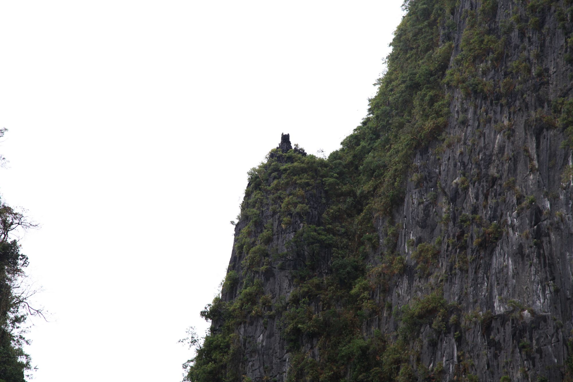 下龙湾，河内 167.jpg