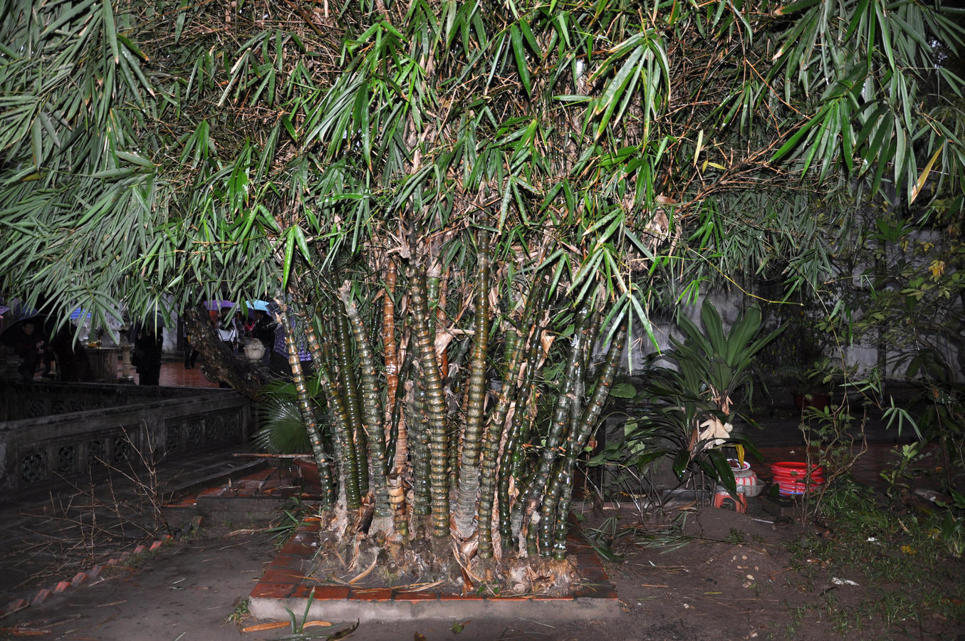nEO_IMG_DSC_9764.jpg