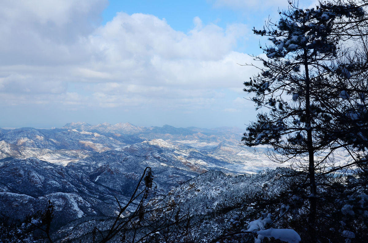 DSC_5798.jpg