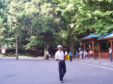 100_9266.jpg